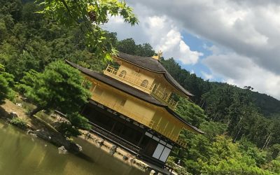 The Danes Dance Back to Japan: PTPI Stories of Culture, Connection & Return